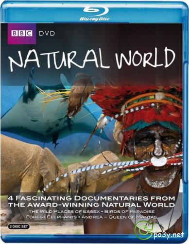 BBC: Живой мир. Королева морских дьяволов / BBC: The Natural World. Queen of the Manta Rays (2009) HDRip