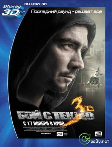 Бой с тенью 3D: Последний раунд (2011) Blu-Ray Remux 