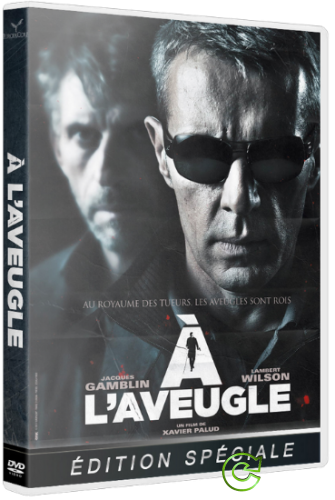 Слепой / À l'aveugle (2012) DVD5 | P | сжатый