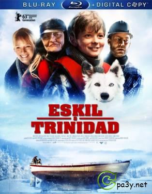 Эскиль и Тринидад / Eskil & Trinidad (2013) HDRip | L1