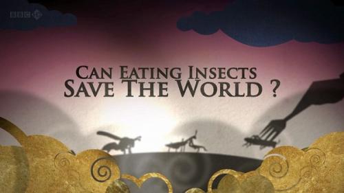 BBC: Может ли питание насекомыми спасти мир? / BBC: Can Eating Insects Save the World? (2013) HDTVRip-AVC от -=HD-NET=-