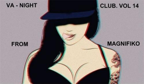VA - Night Club. Vol 14 (2013) MP3 
