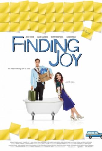 В поисках радости / Finding Joy (2013) WEB-DLRip | P